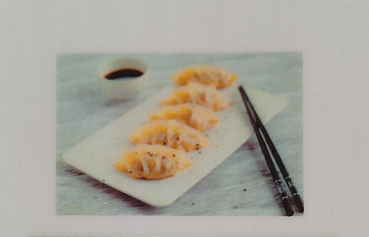 GYOZA DE CERDO